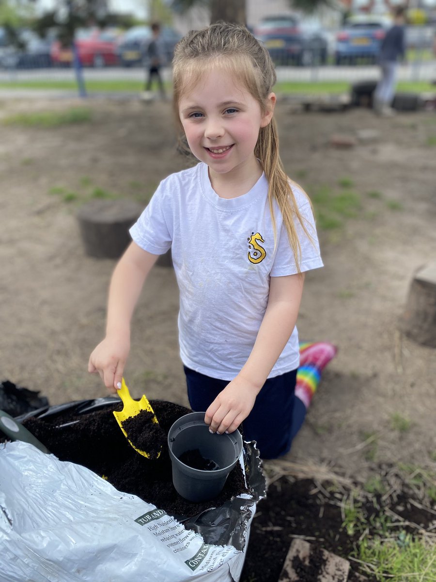 We compared the size of a bulb to the size of a tiny sunflower seed. We then each planted our own seed. We are interested to compare the growth of the seeds to the bulbs. 🌻 @MrPowerREMAT @MissKnipeREMAT @RainbowEduMAT @shoreside1234