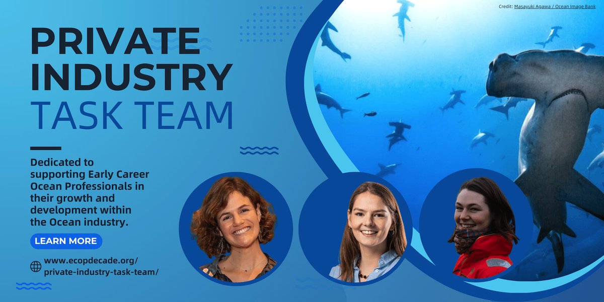 📣 New Task Team alert! We are delighted to announce our brand new task team that will allow us to work closer with ECOPs in the Ocean private sector. Visit the new page on the ECOP Programme: ecopdecade.org/private-indust…