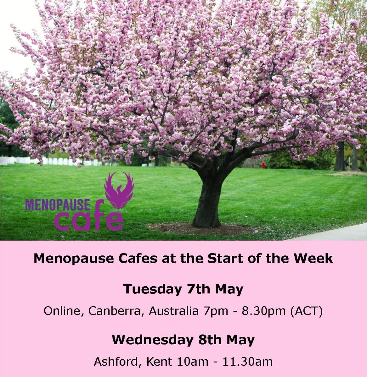 Menopause cafes at the start of next week. For full details, how to book and future cafes see our website: menopausecafe.net/events-calenda… @BloomsburysBiddenden #perimenopause #menopause #womenshealth