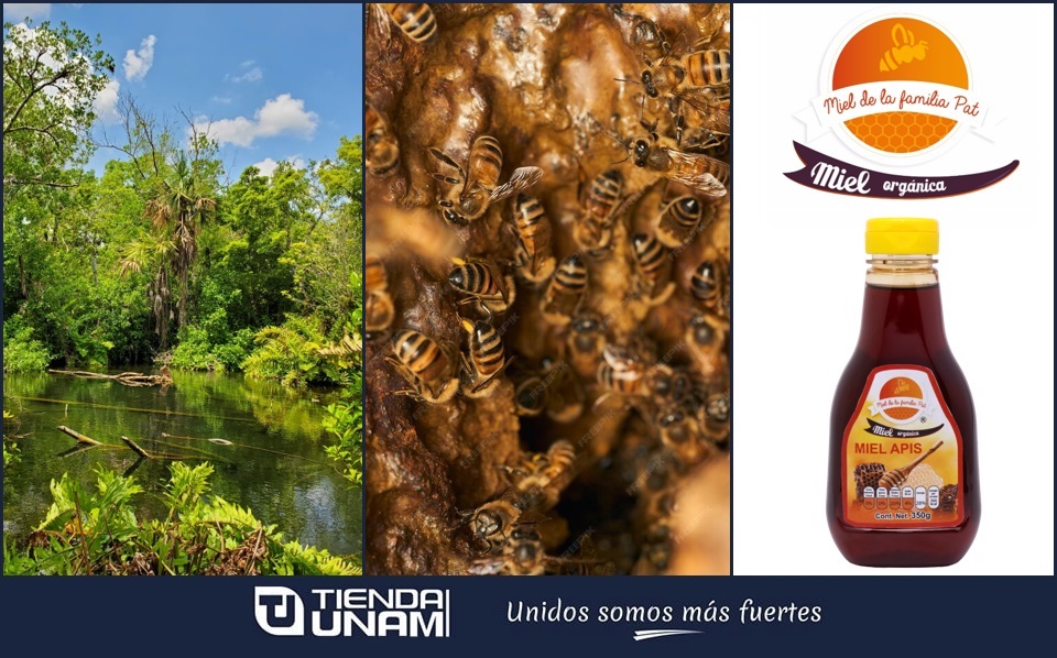 ¡Encuentra la miel de la #FamiliaPat de la Reserva de la Biósfera Los Petenes en @TiendaUNAM! Endulza tu día con miel orgánica de abeja melipona y abeja europea. Disponibles en el pasillo 6; #OrgulloMéxico.
