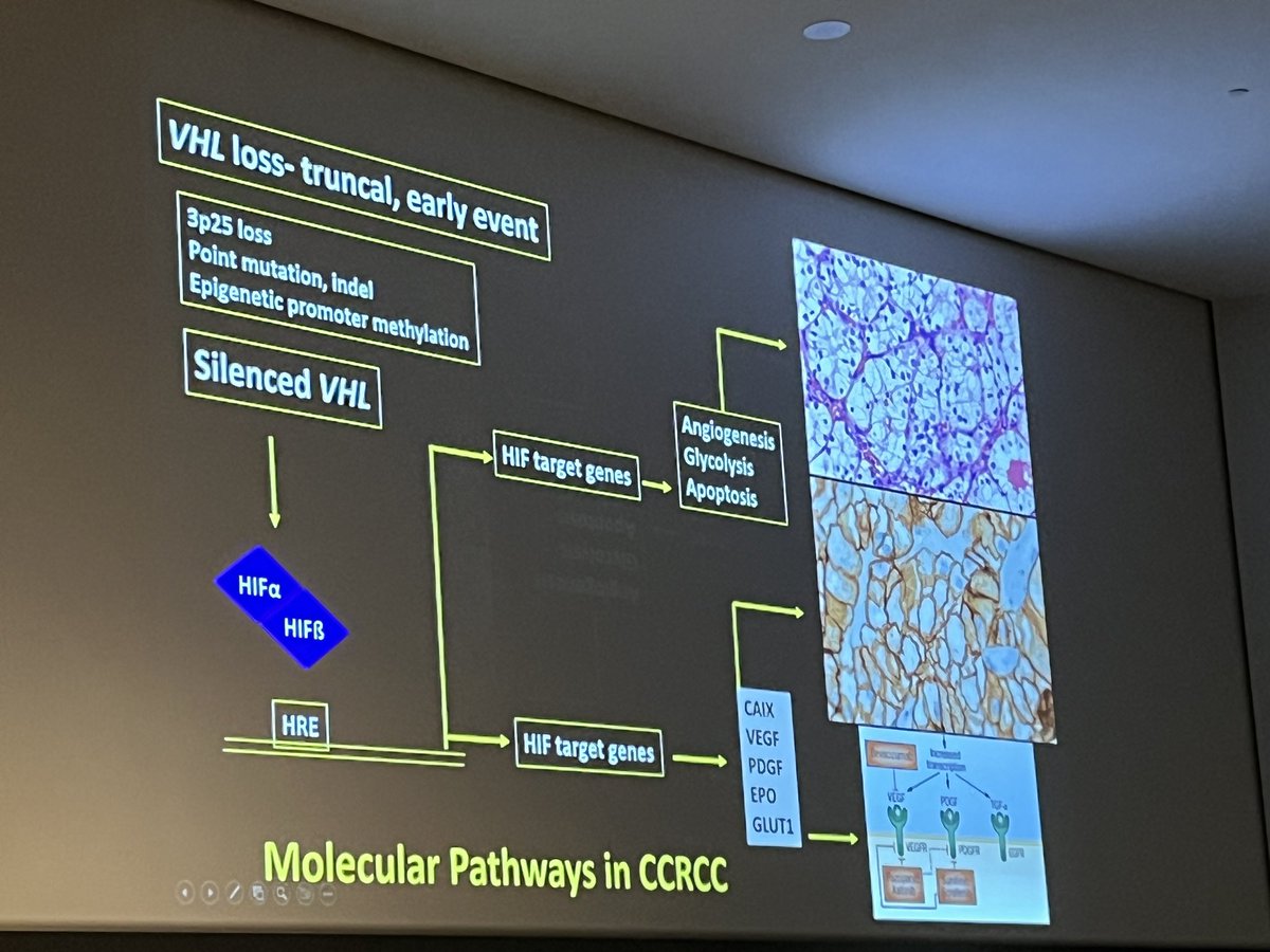 rovingatuscap tweet picture