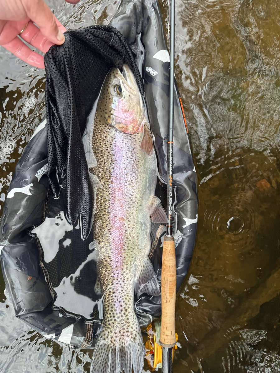 chrishague16's tweet photo. Swinging north country spiders can be
super productive on most rivers. 

#northcountryspiders
#fx2rods
#nx1lines
#mackenziegrapheneclothing
#speycasting
#speyworx
#mackenzieflyfishing
#mackenziedesignteam
Mackenzie Fly Fishing
Fly Fishers International
https://t.co/Os3HjEr92f https://t.co/djLXRy08RK