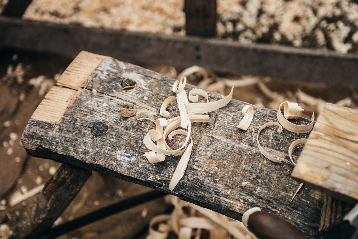 One more week of Spring classes! Enroll now at boiselearns.org or call us at 208-854-4047. Fantastic classes such as WOODCRAFT: BEGINNING CARVING still have spots! Never Stop Learning...