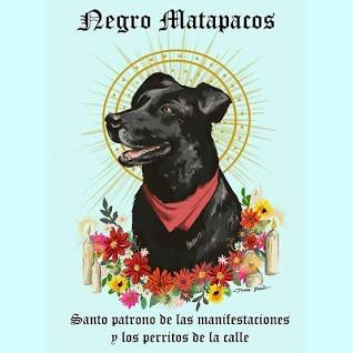 quizá la gente no lo sabe pero el Matapacos es un Icono Mundial muy querido y no matò a nadie para ser un super estrella
