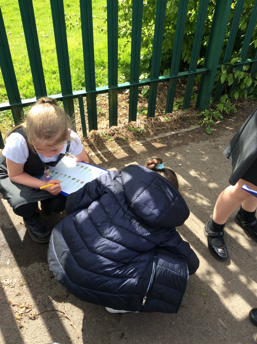 Minibeast hunt in the school playground and garden! 🕷️🐜🐝🪲🐞🐌
