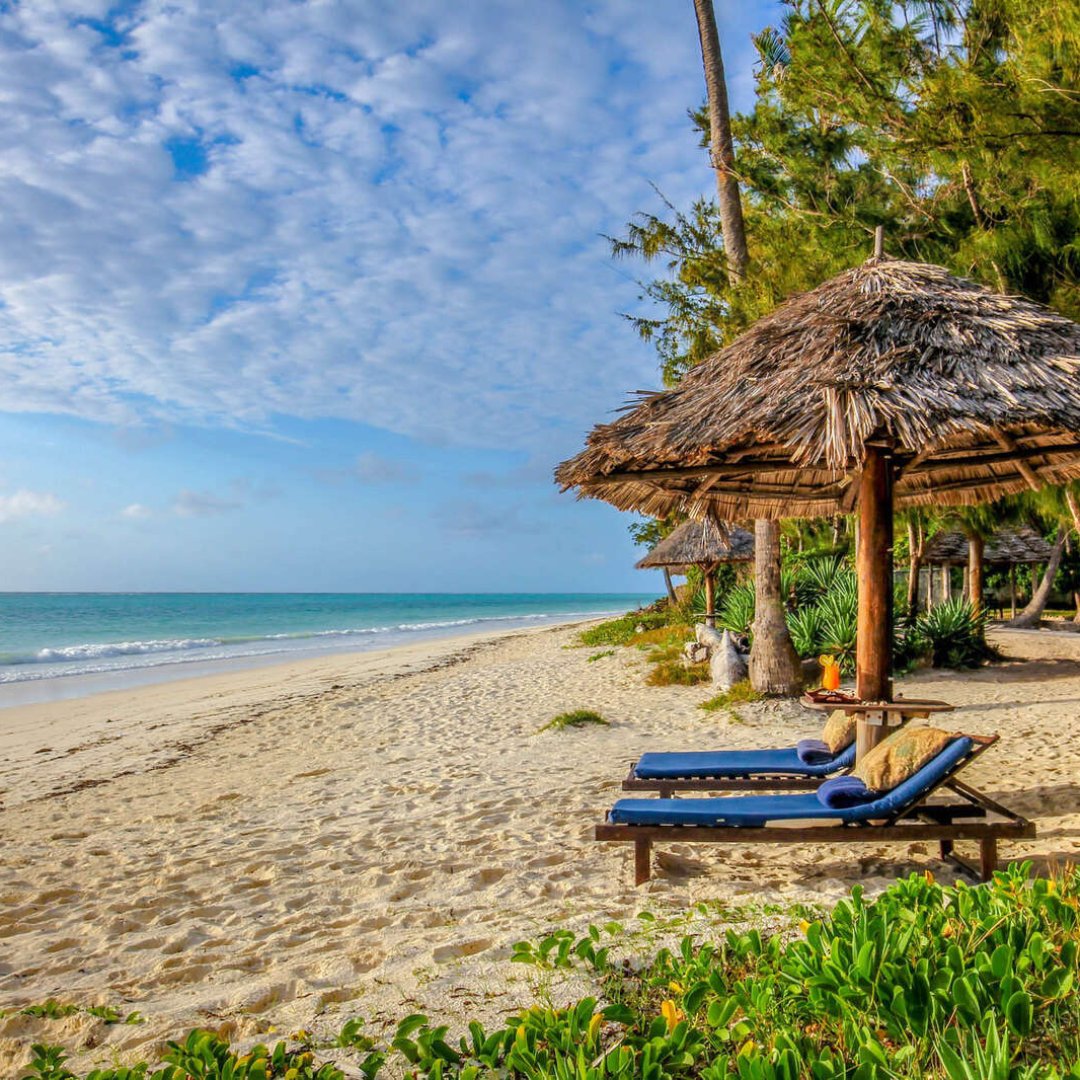 Zanzibar has a tropical environment because of its proximity to the equator. This means you can plan your coastal holiday for any time of year.

DM us at

Info@conservationcaravansafaris.com

#conservationcaravansafaris #TanzaniaSafari #zanizbar #zanzibarisland #zanzibarbeach