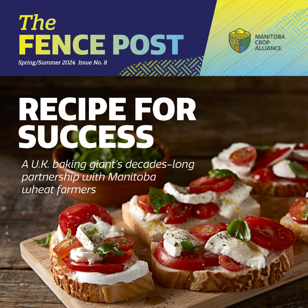 Have you read the Spring/Summer 2024 issue of The Fence Post? Inside you'll find noxious weeds, economic impact data, a U.K. bakery with a strong connection to Manitoba wheat growers and so much more! Read it here: ow.ly/Fkez50Rv4eS #cdnag #westcdnag #MbAg #MBFarms