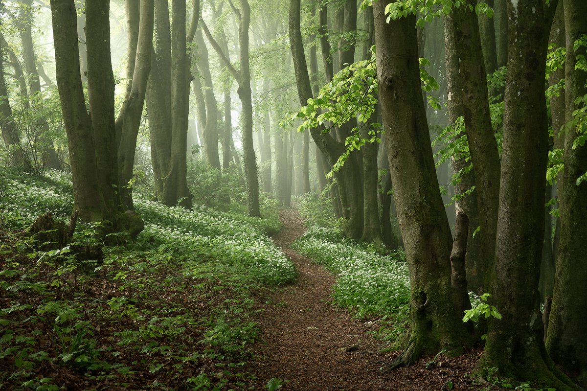 Spring is here 🌱

I haven't had a lot of time lately to get out with the camera, so I've been editing a couple from last year 📸

#landscapephotography #spring #nationalparks