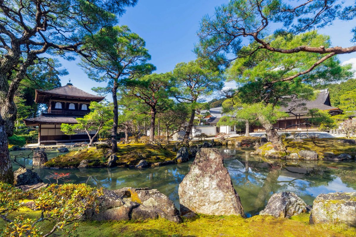 After I close ALL my positions to the unfortunate Exit Liquidity, I’m moving to Kyoto, Japan and turning my phone and laptop off for 2 months 🇯🇵🙏🏼 I’ll be meditating twice a day, sleeping 8 hours, learn Japanese, eat organic and I’ll be at peace! #Japan #peace