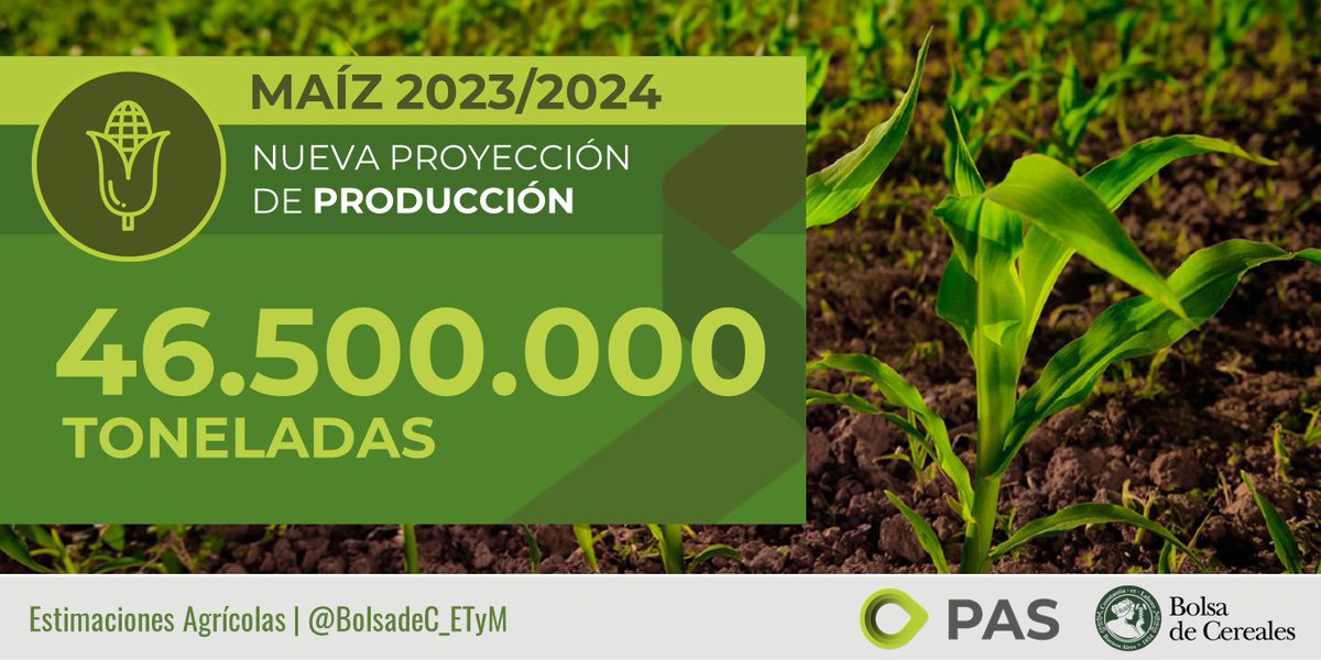 🌽Nueva proyección de producción ​de #maíz 2023/24: 46,5 MTn (-19,8 % vs proyección enero​; +25,7 % vs 22/23) Rinde Proyectado: ​66,7 qq/Ha (-16,8 % vs proyección enero​; +30,6 % vs 22/23​) 📊👉🏼bit.ly/3P9ljh9 📄👉🏼bit.ly/44mQywt