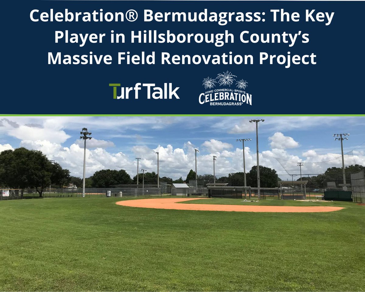 Sod Solutions (@sodsolutions) on Twitter photo Since Spring 2019, <a href="/HillsboroughFL/">Hillsborough County</a> in collaboration with <a href="/WorldSportsCo/">World Sports USA - Turf Experts</a>, has transformed over 250 sports fields with Celebration® Bermudagrass. Discover how this initiative is enhancing the playing experience for thousands of athletes in this Turf Talk: loom.ly/7QIWYmg Since Spring 2019, <a href="/HillsboroughFL/">Hillsborough County</a> in collaboration with <a href="/WorldSportsCo/">World Sports USA - Turf Experts</a>, has transformed over 250 sports fields with Celebration® Bermudagrass. Discover how this initiative is enhancing the playing experience for thousands of athletes in this Turf Talk: loom.ly/7QIWYmg