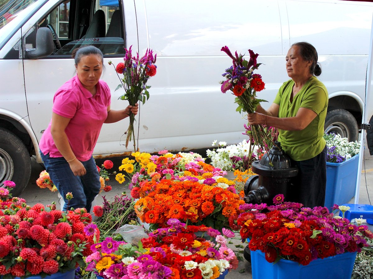 It's officially farmers market season! Check out our full market guide for all the deets you need to plan your next local plant & produce excursion! #FarmersMarkets dlvr.it/T6Klkc