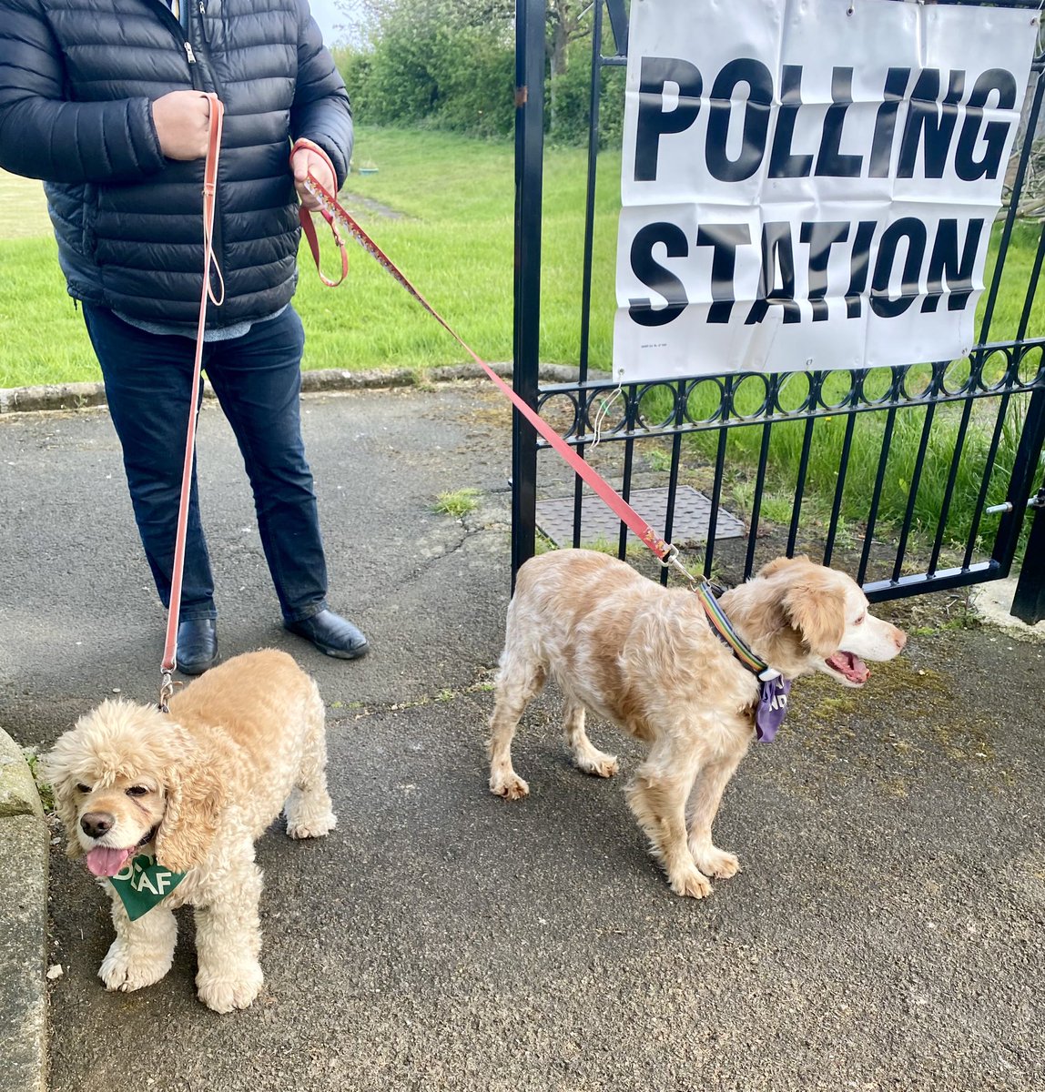 We have done our civic duty & walked mum & dad to the #PollingStation to #Vote #DogsAtPollingStations