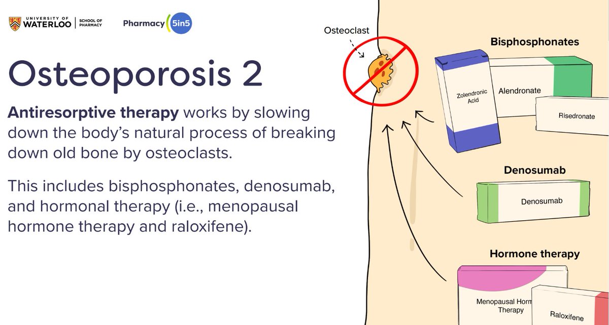Check out our newest Pharmacy5in5 premium module on Osteoporosis! Test your knowledge on treatment options and pharmacotherapy with quizzes and downloadable resources today: pharmacy5in5.ca