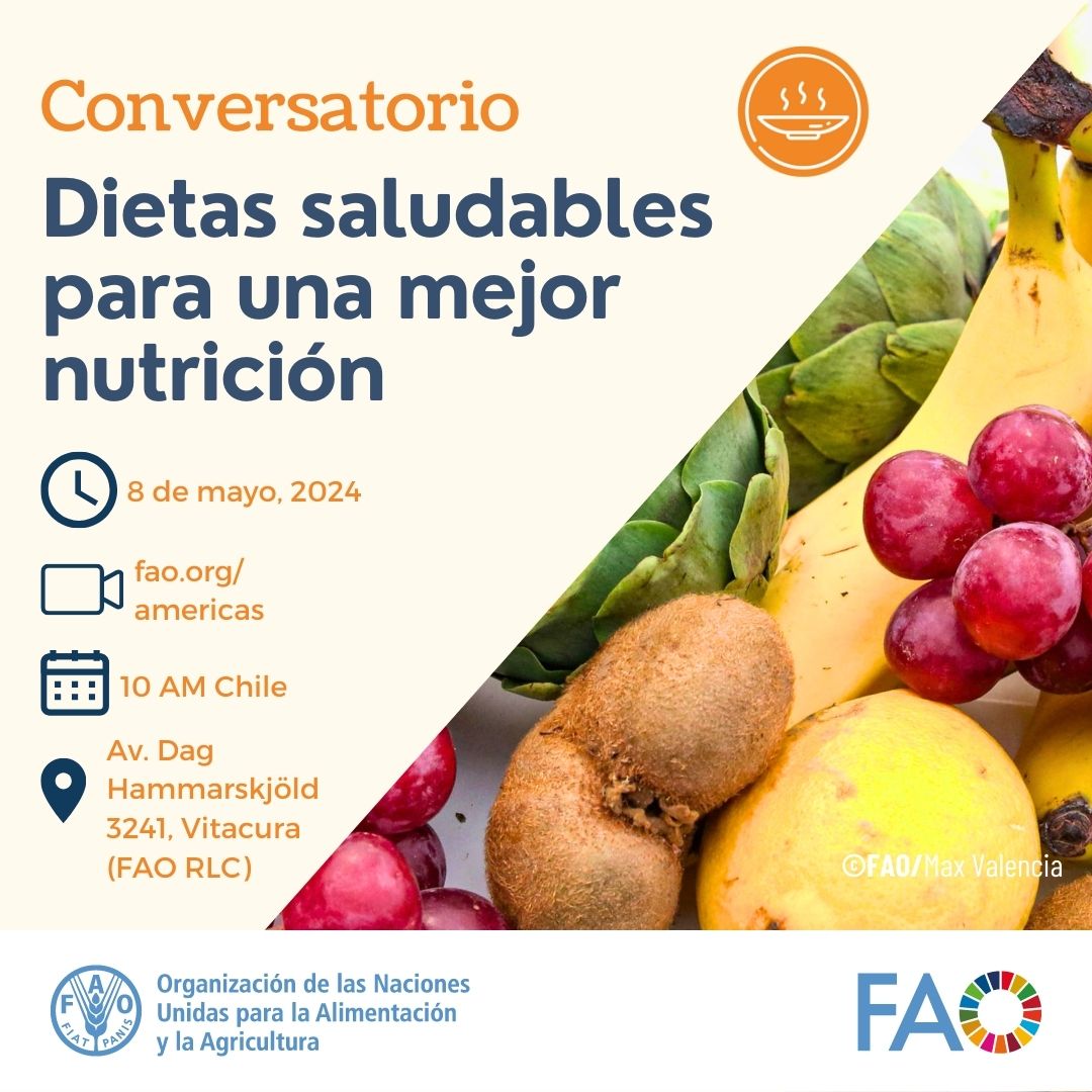 🌎 ¿Qué entendemos por #DietasSaludables y cómo podemos mejorar su acceso en América Latina y el Caribe? ¡Descúbrelo en nuestro conversatorio! 📅 8 de mayo ⏰10 AM Chile / 9 AM Perú ➡️ fao.org/americas/event…