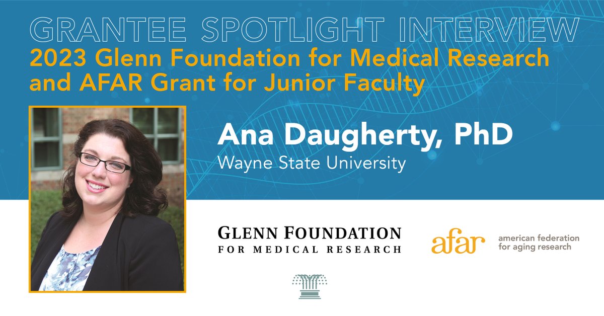 In this #Grantee Spotlight Interview, 2023 Glenn Foundation for Medical Research and AFAR Grants for Junior Faculty recipient Ana Daugherty, PhD of @waynestate speaks on what inspires his AFAR supported #agingresearch. 
Read more here: afar.org/grantee-spotli… #healthspan