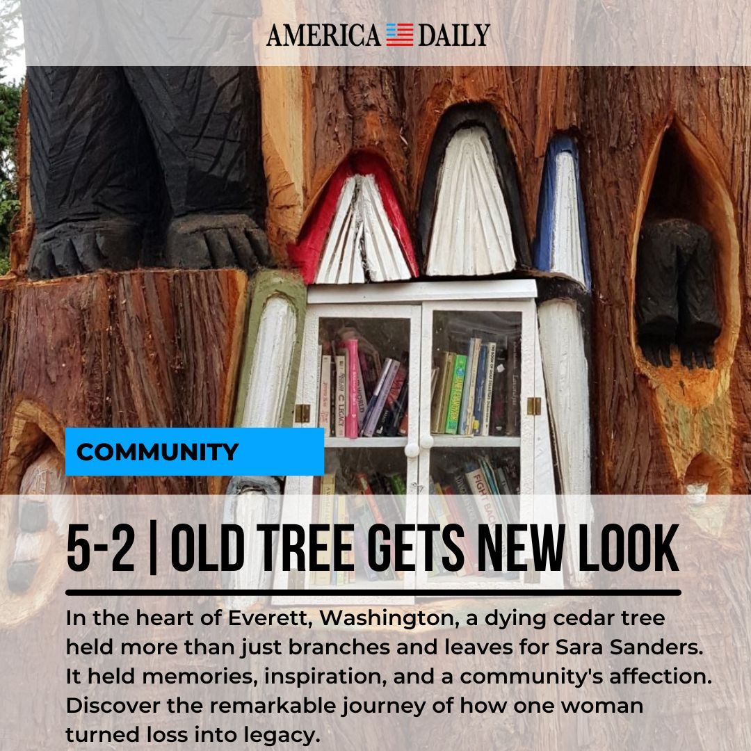 Sara Sanders, along with the help of local woodcutter, transformed her dying cedar tree into a small library nestled within its trunk.