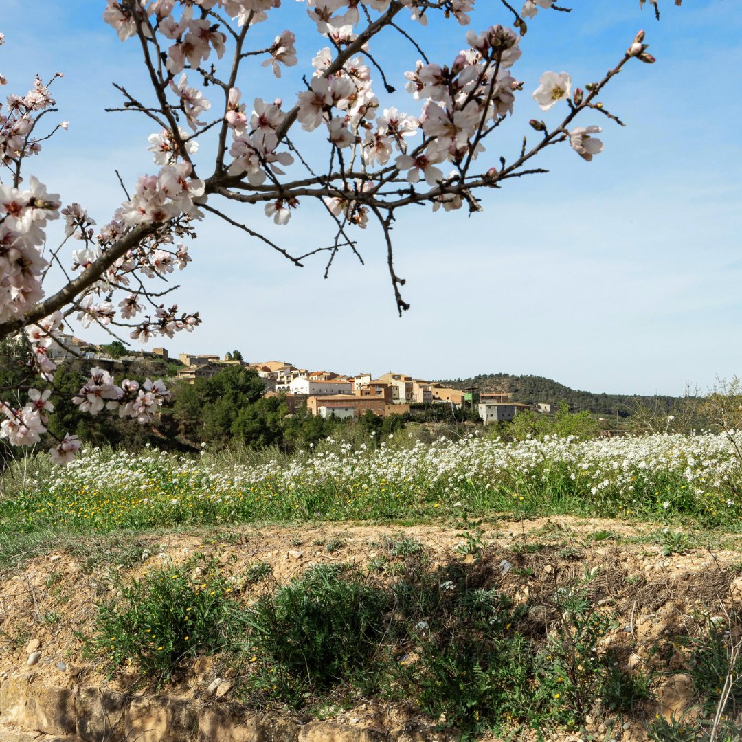 Racons de Els Torms
-
Rincones en #elstorms
-
Hideouts of Els Torms

#racons_de_lleida #monrural #turismeslow #visitarural #familiar #experienciarural #aralleida #somagricultors #somdepoble #micropoble #pobles_de_catalunya