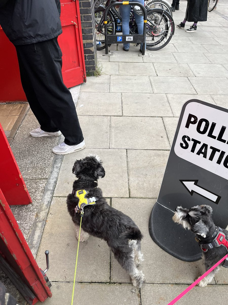 Teddy and Pickle say fuck the tories #dogsatpollingstations