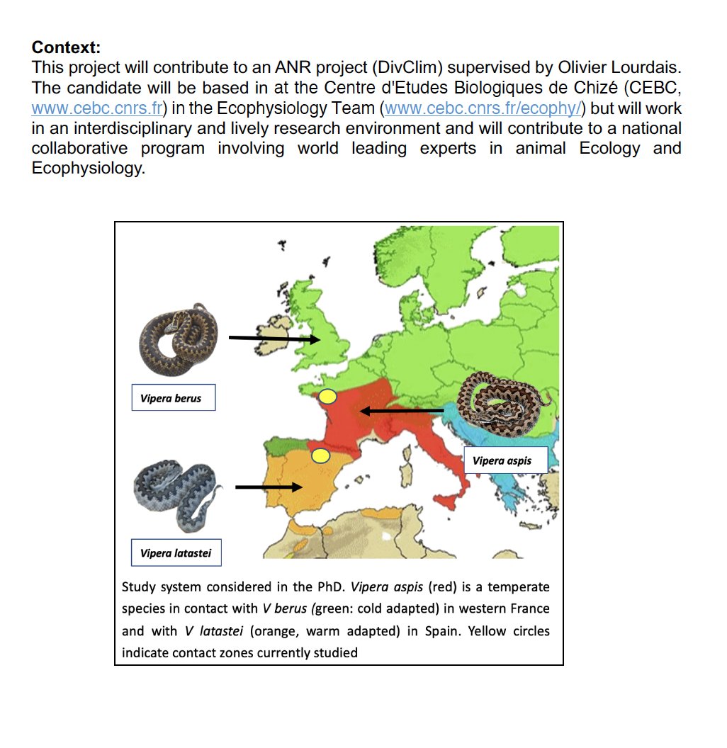 🚨 #PhDposition : Fully funded PhD available at
@CEBC_ChizeLab @Ecophy_CEBC on #reptiles 🐍Climatic adaptations and vulnerability to warming🌡️ Project Funded by @AgenceRecherche Send an e-mail to O. Lourdais (lourdais@cebc.cnrs.fr), for inquiries. Please RT