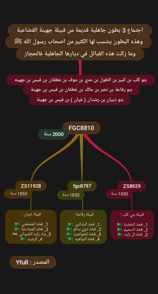 اعلان عينة 🔻 يسر مشروع #قضاعة_بن_معد اعلان نتيجة Yseq لفخذ المجادعة من قبيلة ذبيان من #جهينة رقم العينة : 58652 الاسم : ماجد المجدعي الذبياني الجهني النتيجة موجبة للتحور #FGC8810 ومتكتلة مع بني موسى و مالك من قبيلة جهينة وسيتم طلب تطوير هولجينيم للعينة ورفعها Yfull