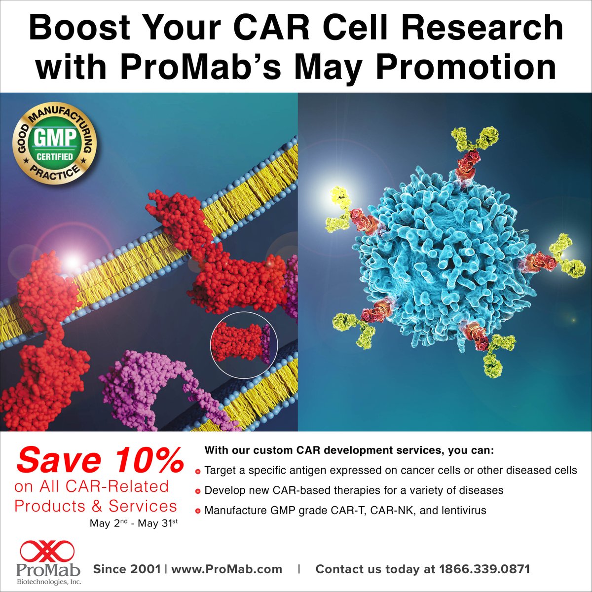 ProMabBiotech's tweet image. Unleash cutting-edge therapy and save 10% on all Chimeric Antigen Receptor-related products and services this May! Seize this opportunity to advance your research – offer ends May 31st! Discover them here: hubs.li/Q02vX7FK0 #BioTechRevolution #InnovatewithPMB #ProMabBioTech