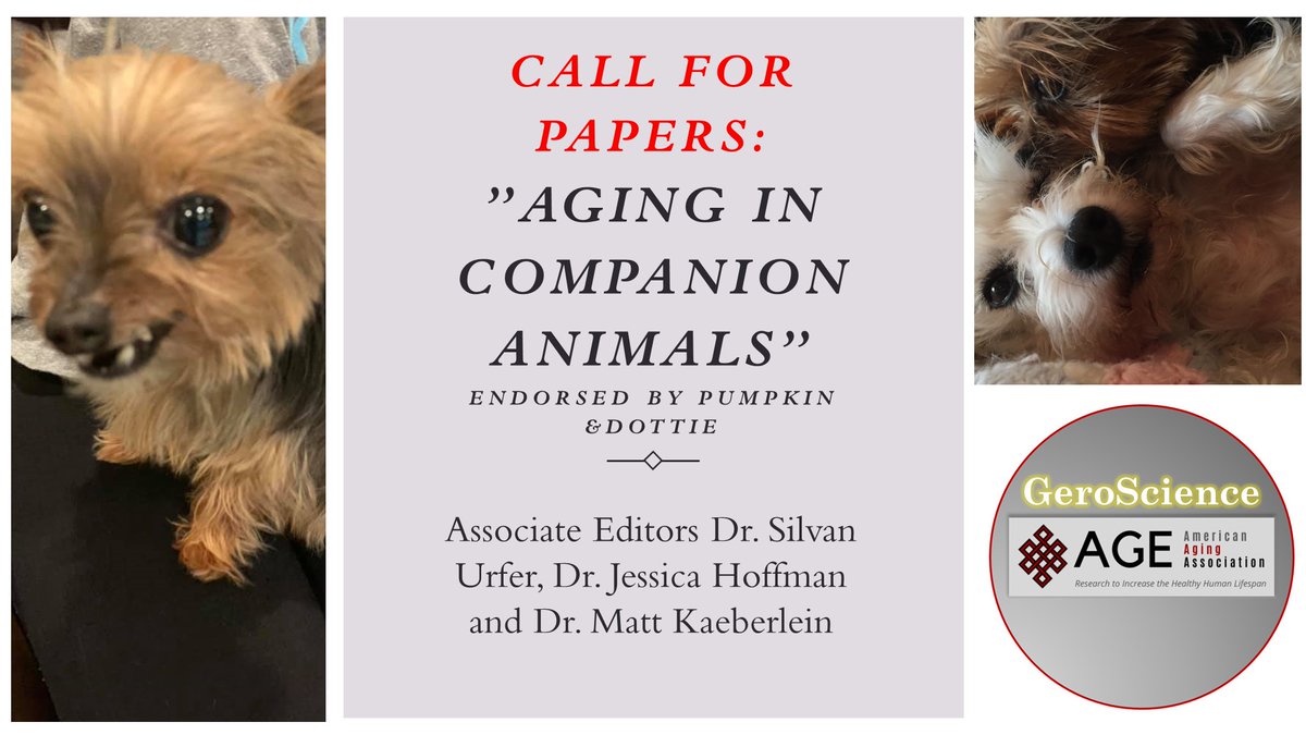 📢#CallForPaper📢
Submit your paper focusing on using #companionanimals as models in all aspects of #aging research. ⤵
springer.com/journal/11357/…
Read more in the comments!
Endorsed by Pumpkin🐾 and Dottie 🐶.
#geneticdiversity #environmentalvariation #comparativeepidemiology