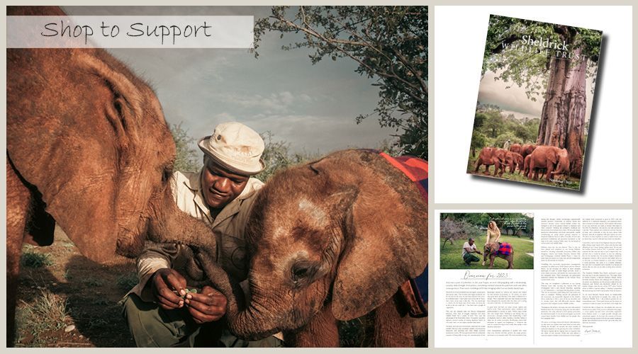 *LIMITED EDITION!* Immerse yourself in our annual newsletter/book that features unseen photographs and stories. Only a limited quantity are printed making each a collector's item! Get yours now: sheldrickwildlifetrust.org/shop