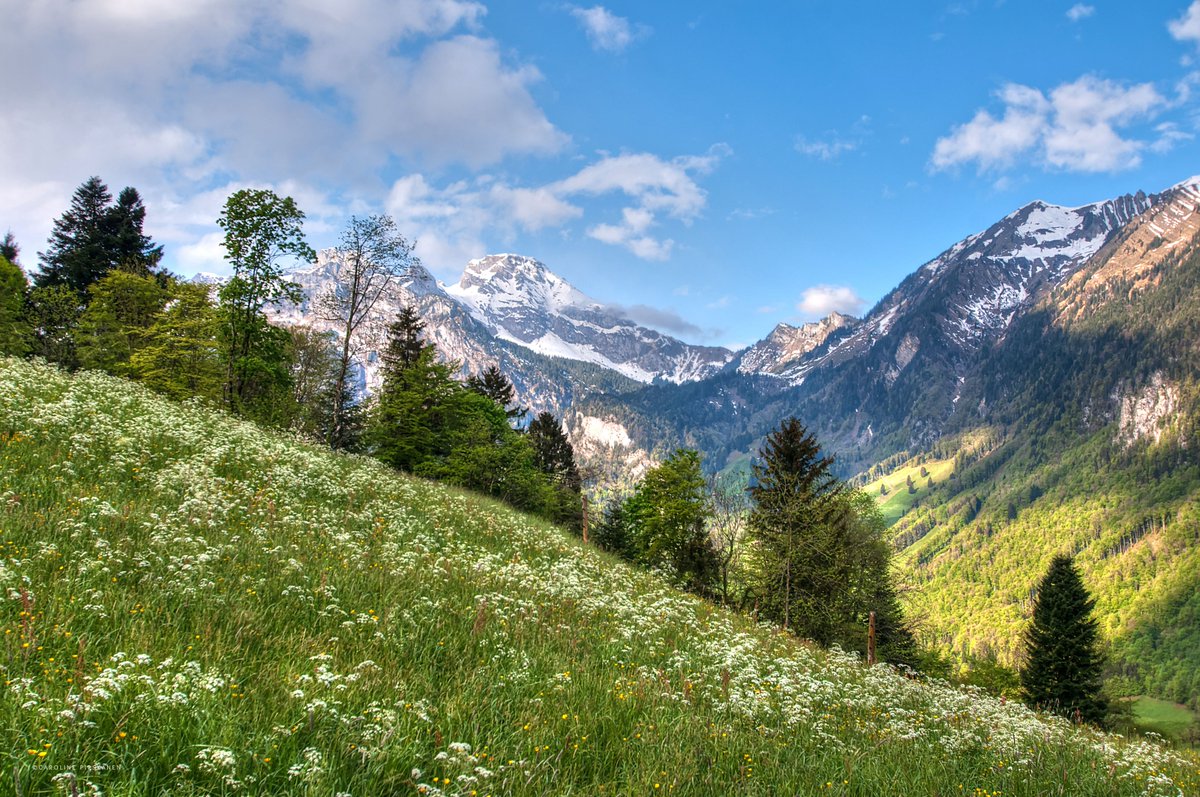 Sunny morning in the Engelberg valley ☀️
#Nidwalden #IneedSwitzerland #carolinepirskanen 
@MySwitzerland_e