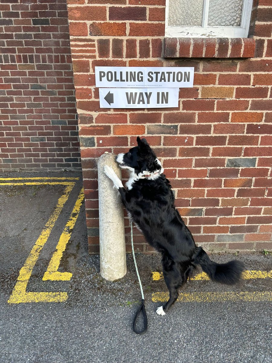 Voting done ☑️ #dogsatpollingstations