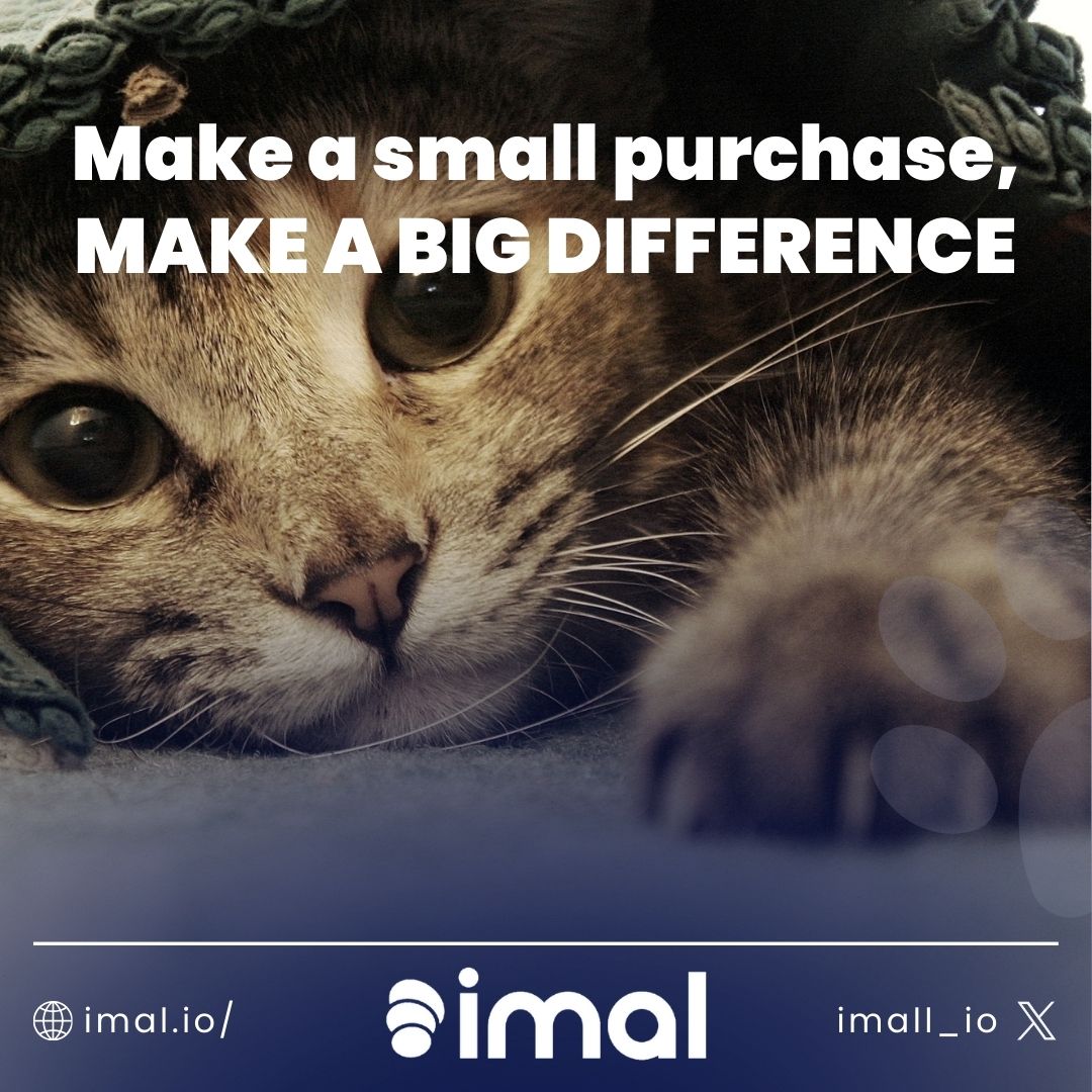 IMAL encourages you to make small purchases for your beloved pets through imal token. Every small purchase makes a big difference for street animals. Join us, take a small step, and make a big impact! #imal #makeabigdifference #shopforgood #petsforcharity #givebackwithimal