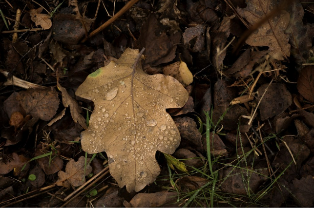 Dive into the wonders of the natural world by becoming a young scientist! Take a closer look and observe the beauty around you, use your senses, and get creative. 🧐 Let's explore together here: rspb.org.uk/helping-nature… 📷|Ben Andrews (rspb images. com)