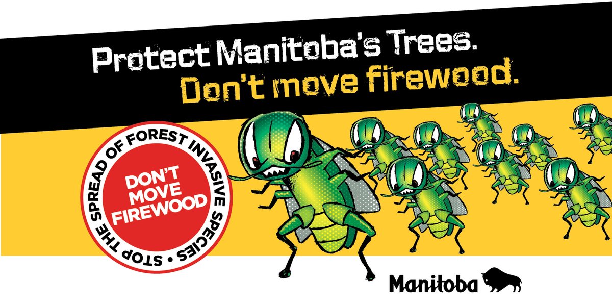 Help stop the spread of invasive species - don't move firewood. Learn more at bit.ly/3xOchRO.