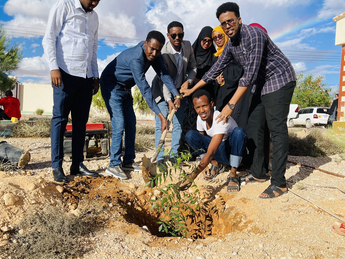 🌳 In honor of Puntland Tree Planting Week, our dedicated team at @imc_puntland, led by our DG, came together to plant trees at our office. This green initiative not only beautifies our workspace but also contributes to a healthier, more sustainable environment for all. 🌍