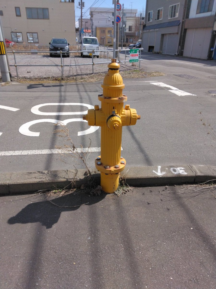 #thenite この黄色い物体は消火栓です。昭和チックな故郷函館のいいところです。さあ、クロージングナンバーまで聴きますよ(o^^o)