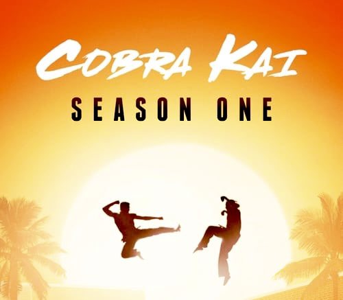 6 years ago the greatest show on television was released to the world! COBRA KAI!! Happy Birthday to the best show on the planet!🐍👊🥋