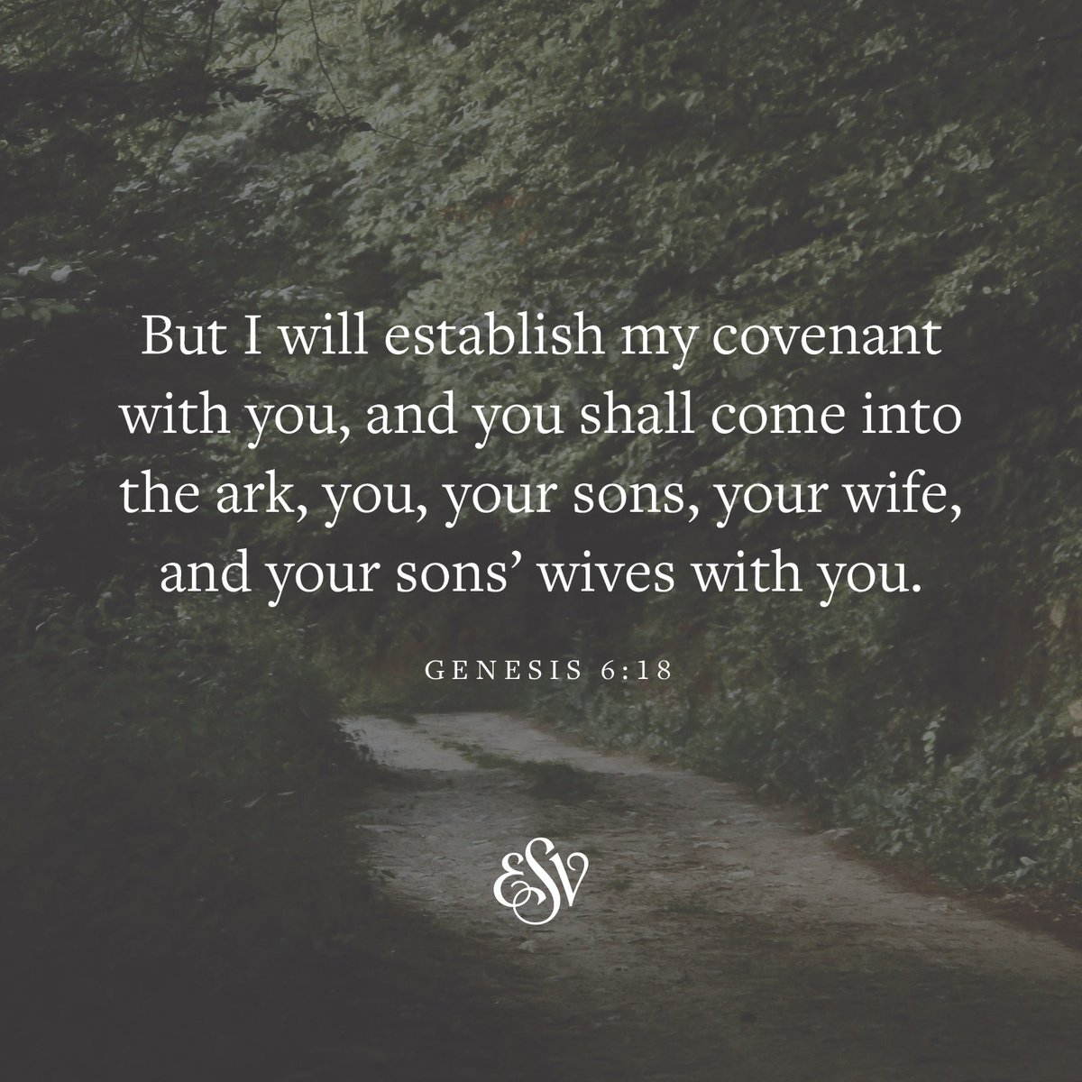 But I will establish my covenant with you, and you shall come into the ark, you, your sons, your wife, and your sons' wives with you. 
—Genesis 6:18 ESV.org

#Verseoftheday #ESV #Scripturememoryverse #Bible