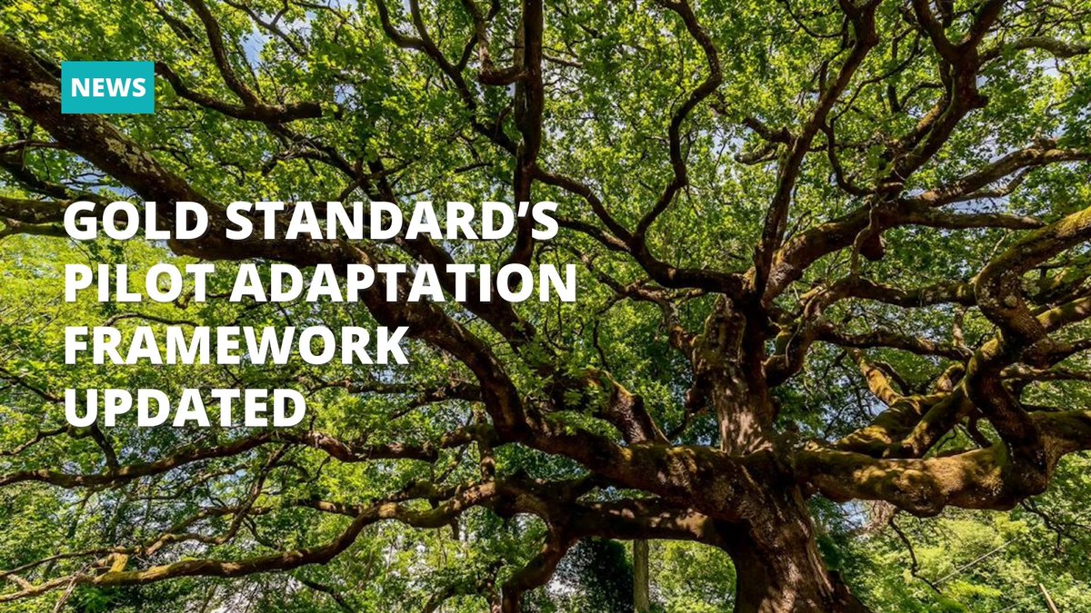 🌍Article update from Gold Standard. Our Pilot Adaptation Framework, crafted with @ResilientCities, enhances resilience against climate risks. Discover how it can protect your investments and boost sustainability: goldstandard.org/news/gold-stan… #ClimateResilience #Sustainability