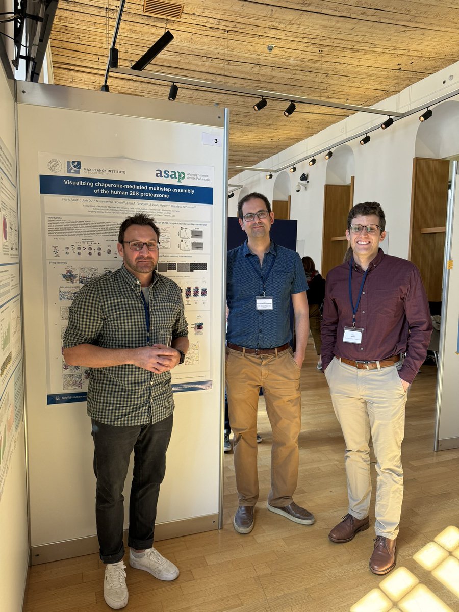 Was really great catching up with @ruferbus and @pelletfraction from @ASAP_Research Team Harper @jwadeharperlab at the #ubfriends2024 symposium in wonderful Vienna. @MPI_Biochem @uniGoettingen @HarvardCellBio