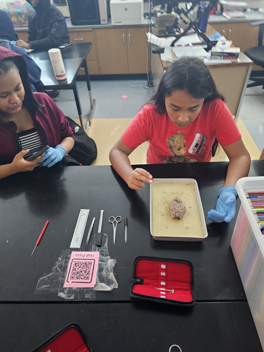 One of my favorite labs to do. Every student was 100% into this. <a href="/PLTWorg/">Project Lead The Way</a> @OPS_MacPrncpl <a href="/OPS_McMillan/">OPS McMillan Middle</a>