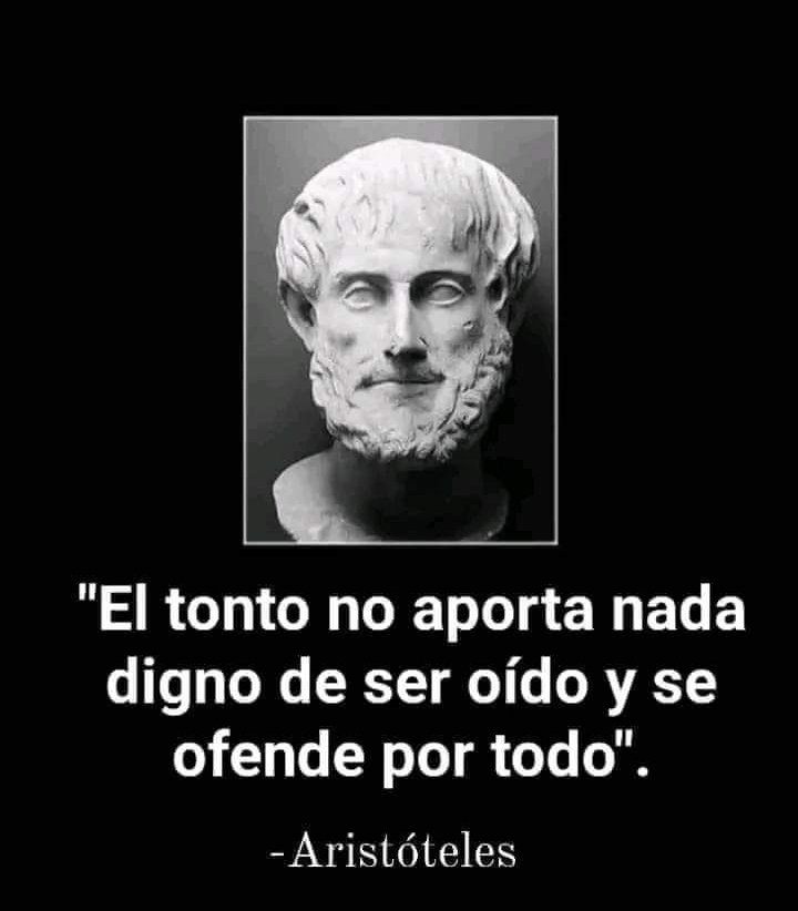 Esto es para el tonto que hoy se siente Inglés pero que no habla correctamente ni el español. #lavistima #tutienesquepagarpaverla