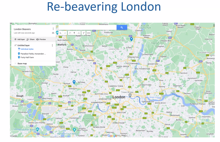 Fascinating to hear from @jonnyjjt this morning, talking about his research into urban rewilding initiatives - particularly beaver reintroduction sites in London