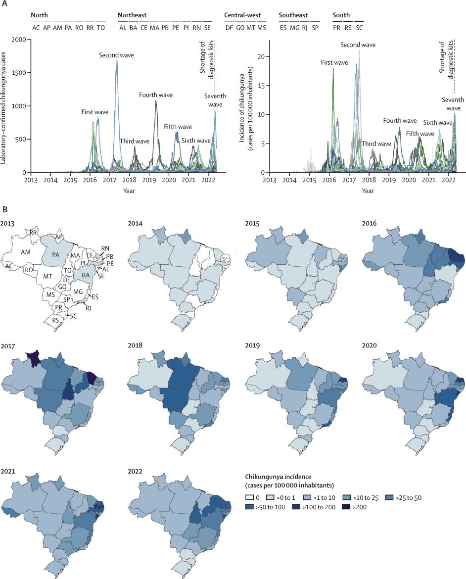 Spatiotemporal dynamics and recurrence of #chikungunya virus in Brazil: an epidemiological study

thelancet.com/journals/lanmi…
