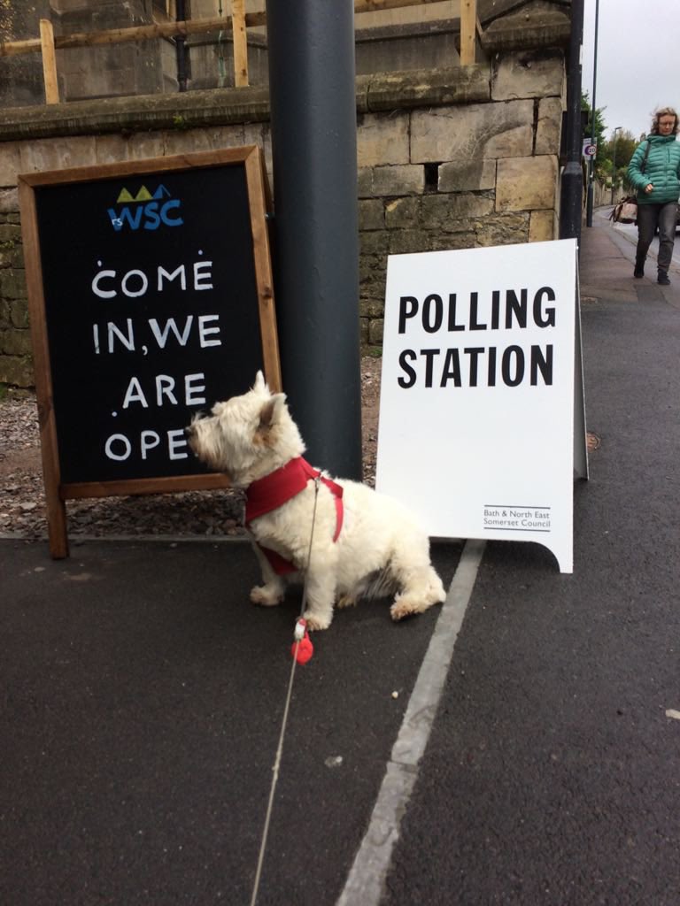 Today is a day that millions of Brit’s get to vote, get out there and do it! #LocalElections #DoNotForget 🗳️ I already voted by post ✉️ but here’s a throwback #DogsAtPollingStations photo of our old family dog Alfie