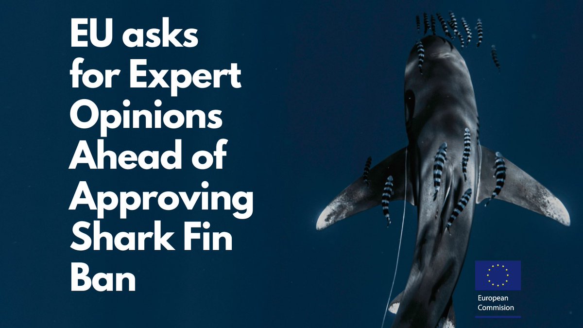 European Commission Seeking Expert Opinions to Stop Finning in EU! Till May 16: interested parties, researchers, shark and marine orgs and government officials click this link to support the proposed shark fin ban: ec.europa.eu/info/law/bette…
#RobStewart #Sharkwater #savesharks