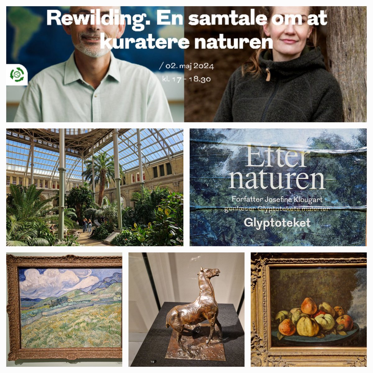 Looking forward to this evening's public conversation w/ @MariaGjerding on #nature, #biodiversity & #rewilding, in relation to the 'After nature' exhibition @Glyptoteket 🦬🌿🦋🌼🎨🖼🐎