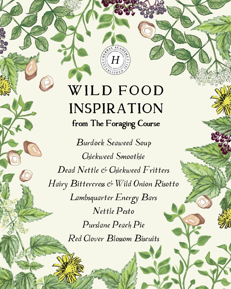 Are you incorporating wild foods into your everyday?  🧺🌿 We’d love to share a free Wild Foods Nutrition download from The Foraging Course with you sharing about the nutritional benefits of common forageable plants. theherbalacademy.com/blog/nutrition…