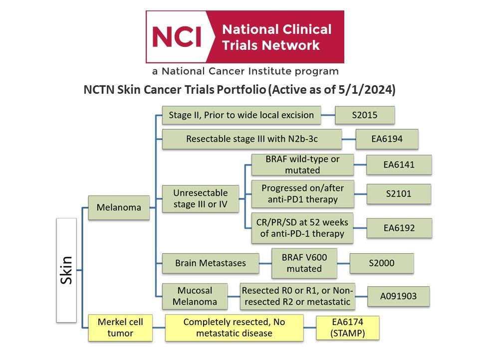 May is #SkinCancerAwarenessMonth, Check out #NCICTEP #NCTN #skincancer #melanoma trials portfolio. All trials are active. Learn more: buff.ly/2QZ1EXd