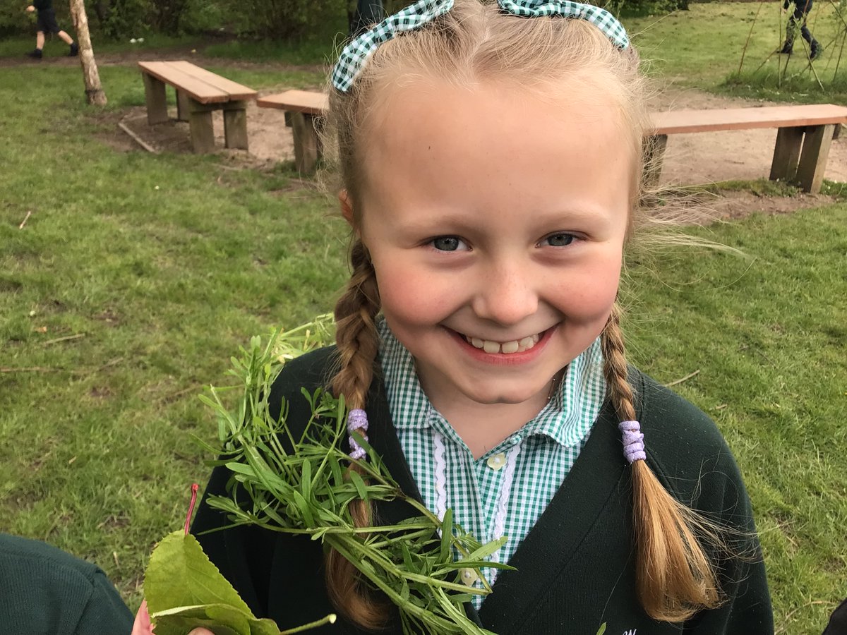 garden_primary's tweet photo. How many different types of leaves can we find in our school grounds @PMissBrown1 @PlantationPS @RowanTrust @RHSSchools @PlantationHodg https://t.co/EDGzHWsipK