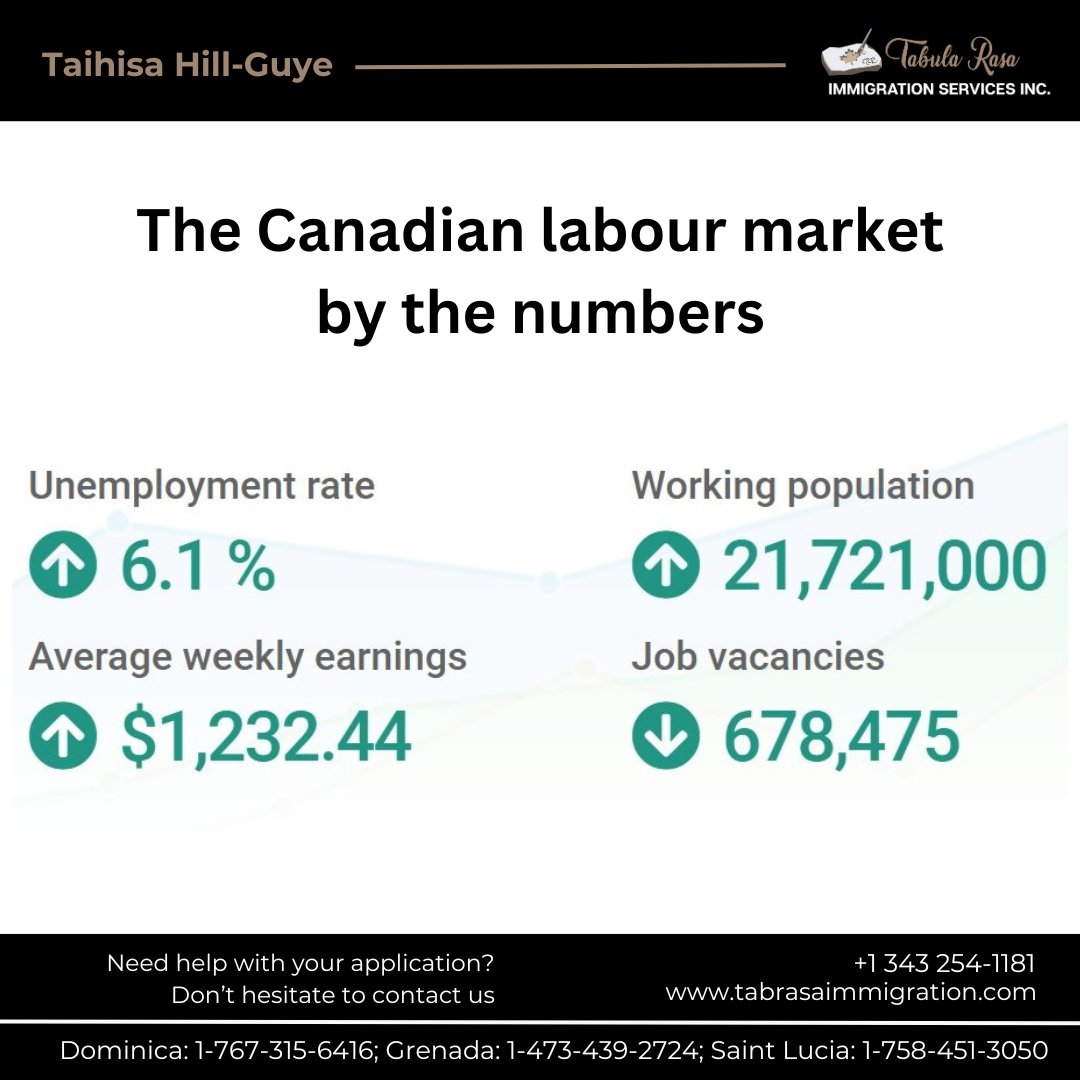 The Canadian labour market is dynamic and evolving. Stay informed, hone your skills, and be proactive in seeking out new opportunities. 

#CanadianLabourMarket #JobMarket #CareerDevelopment #workincanada #workvisa #workvisacanada #tabularasaimmigration